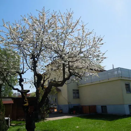 Ferienwohnung Nissle 아파트